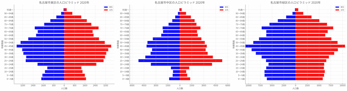 population pyramid_best3_2020_px1200.png