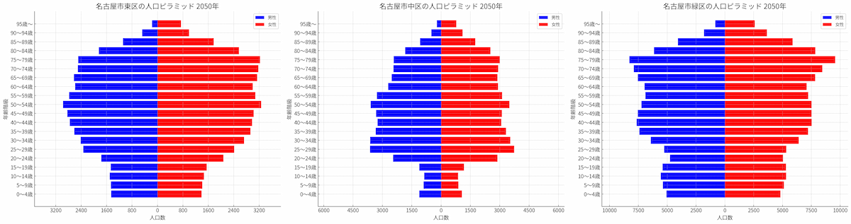 population pyramid_best3_2050_px1200.png